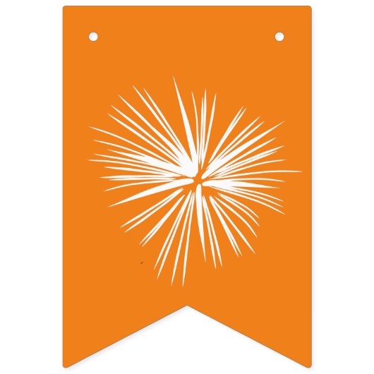 Oranje | Afstudeerder-inktvlaggen met vuurwerk Vlaggetjes (Eerste vlag)
