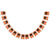 Oranje afstudeerfeestdecoratie vlaggetjes (Alle)