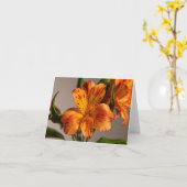 Oranje alstroemeria lelie kaart (Gele Bloem)