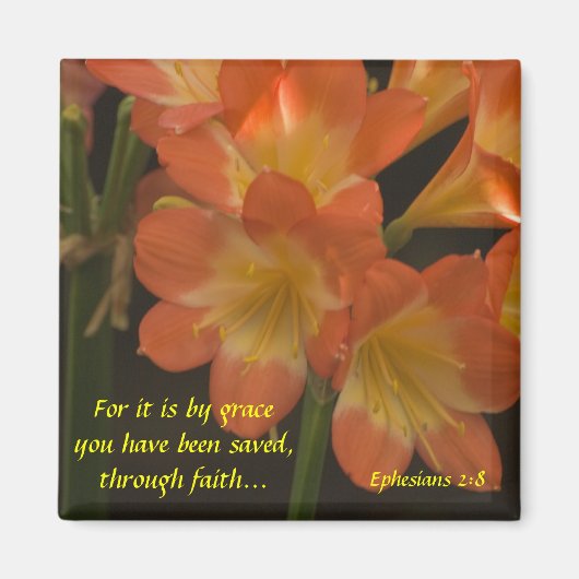 Oranje Amaryllis Magneet (Voorkant)