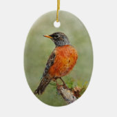 Oranje Amerikaanse Robin Bird Schilderij Jaar Kers Keramisch Ornament (Voorkant)