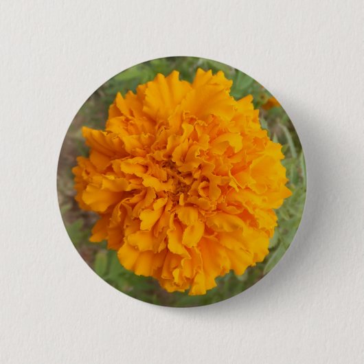 Oranje anjer-knop ronde button 5,7 cm (Voorkant)