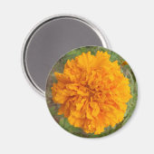 Oranje anjermagneten magneet (Voorkant / Achterkant)
