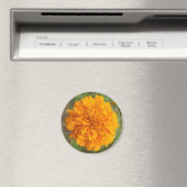 Oranje anjermagneten magneet (Insitu (Vaatwasser))