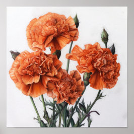Oranje anjers bloemenkunst print Poster