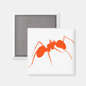 Oranje Ant Magneet (Voorkant / Achterkant)