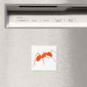 Oranje Ant Magneet (Insitu (Vaatwasser))