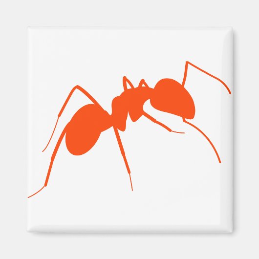 Oranje Ant Magneet (Voorkant)