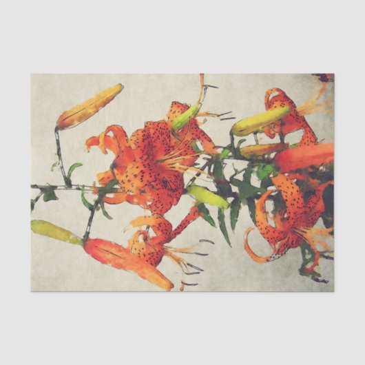 Oranje Aquarel Tijgerlelie 1 Tissuepapier (Voorkant)