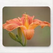 Oranje asiatische Lilie Muismat (Voorkant)