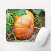 Oranje Assepoester Pumpkin Muismat (Met muis)