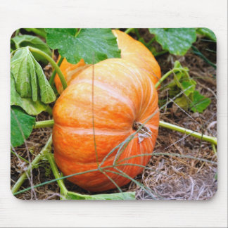 Oranje Assepoester Pumpkin Muismat