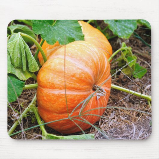 Oranje Assepoester Pumpkin Muismat (Voorkant)