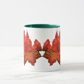 Oranje Azalea Blossom Mok (Midden)