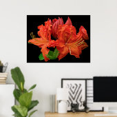 Oranje Azalea Blossom Poster (Thuiskantoor)