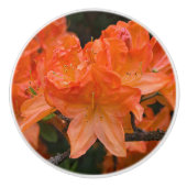 Oranje Azalea Rhododendron Flowers Keramische Knop (Voorkant)