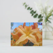 Oranje Azaleas Briefkaart (Staand voorkant)