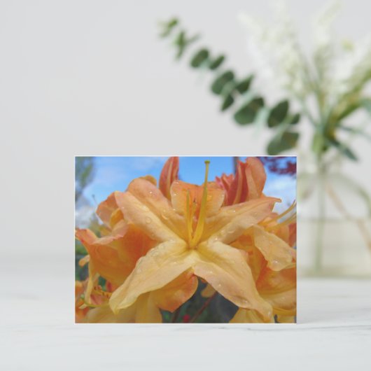 Oranje Azaleas Briefkaart (Staand voorkant)