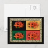 Oranje Azaleas Briefkaart (Voorkant / Achterkant)