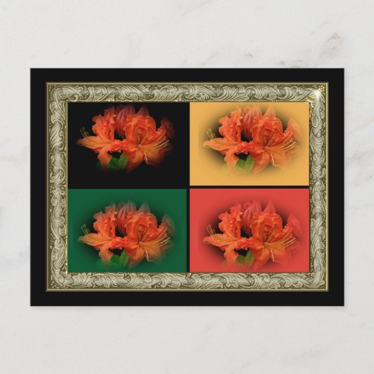 Oranje Azaleas Briefkaart (Voorkant)