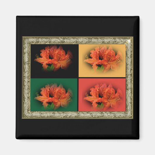 Oranje Azaleas Magneet (Voorkant)
