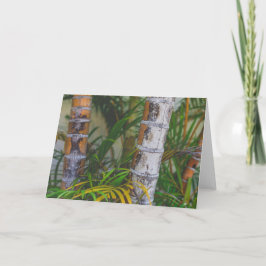 Oranje Bamboe Kaart