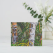 Oranje Bamboo Briefkaart (Staand voorkant)