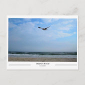 Oranje Beach Alabama Briefkaart (Voorkant)