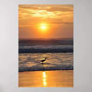 Oranje Beach Sunrise Bird Vist Poster Florida