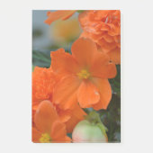 Oranje Begonias Post-it® Notes (Voorkant)