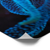 Oranje bekerkoraal poster (Hoek)