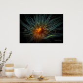 Oranje bekerkoraal poster (Keuken)