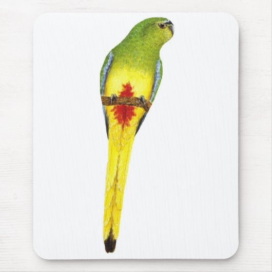 Oranje-bellied Parrot - Neophema chrysogaster Muismat (Voorkant)