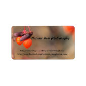 oranje bessen etiket (Voorkant)