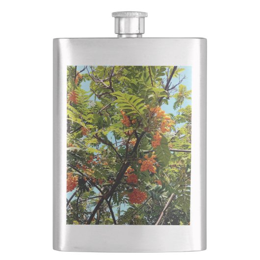Oranje bessen flacon (Voorkant)