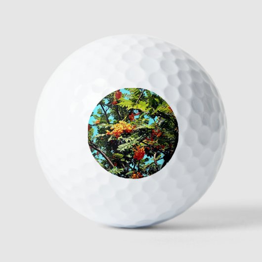 Oranje bessen golfballen (Voorkant)