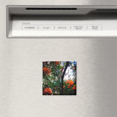 Oranje bessen magneet (Insitu (Vaatwasser))