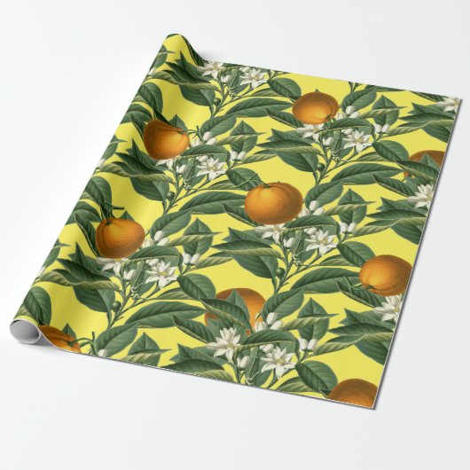  Oranje blaasbloem Cadeaupapier (Uitgerold)