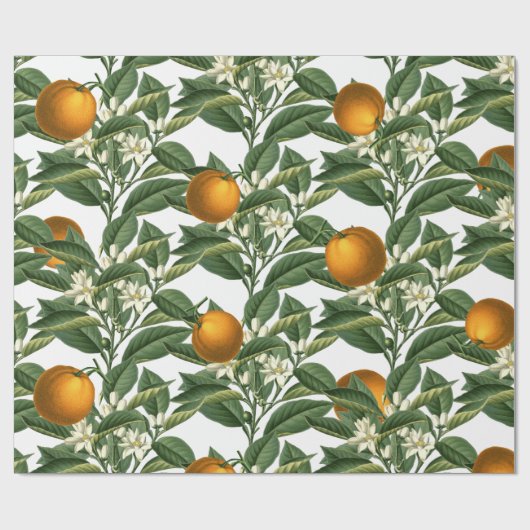  Oranje blaasbloem Cadeaupapier (Vlak)