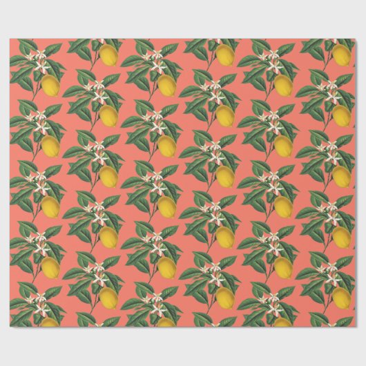 Oranje blaasbloem Cadeaupapier (Vlak)