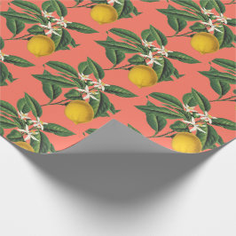 Oranje blaasbloem Cadeaupapier