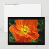 Oranje blaasbloem Kaart (Voorkant / Achterkant)