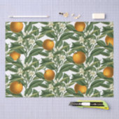  Oranje blaasbloem Tissuepapier (Craft)