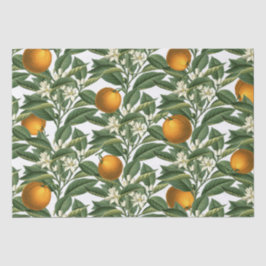  Oranje blaasbloem Tissuepapier