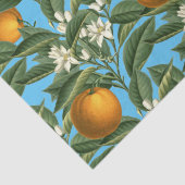 Oranje blaasbloem Tissuepapier (Detail)