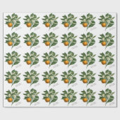 Oranje blaasbloem van botanische vruchten Cadeaupapier (Vlak)