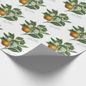 Oranje blaasbloem van botanische vruchten Cadeaupapier (Hoek)