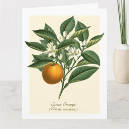 Oranje blaasbloem van botanische vruchten Kaart