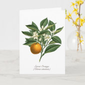  Oranje blaasbloem van botanische vruchten Kaart (Gele Bloem)