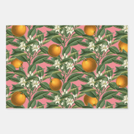  Oranje blaasbloesem, roze Inpakpapier Vel